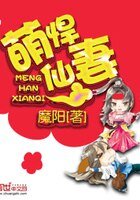 萌悍仙妻